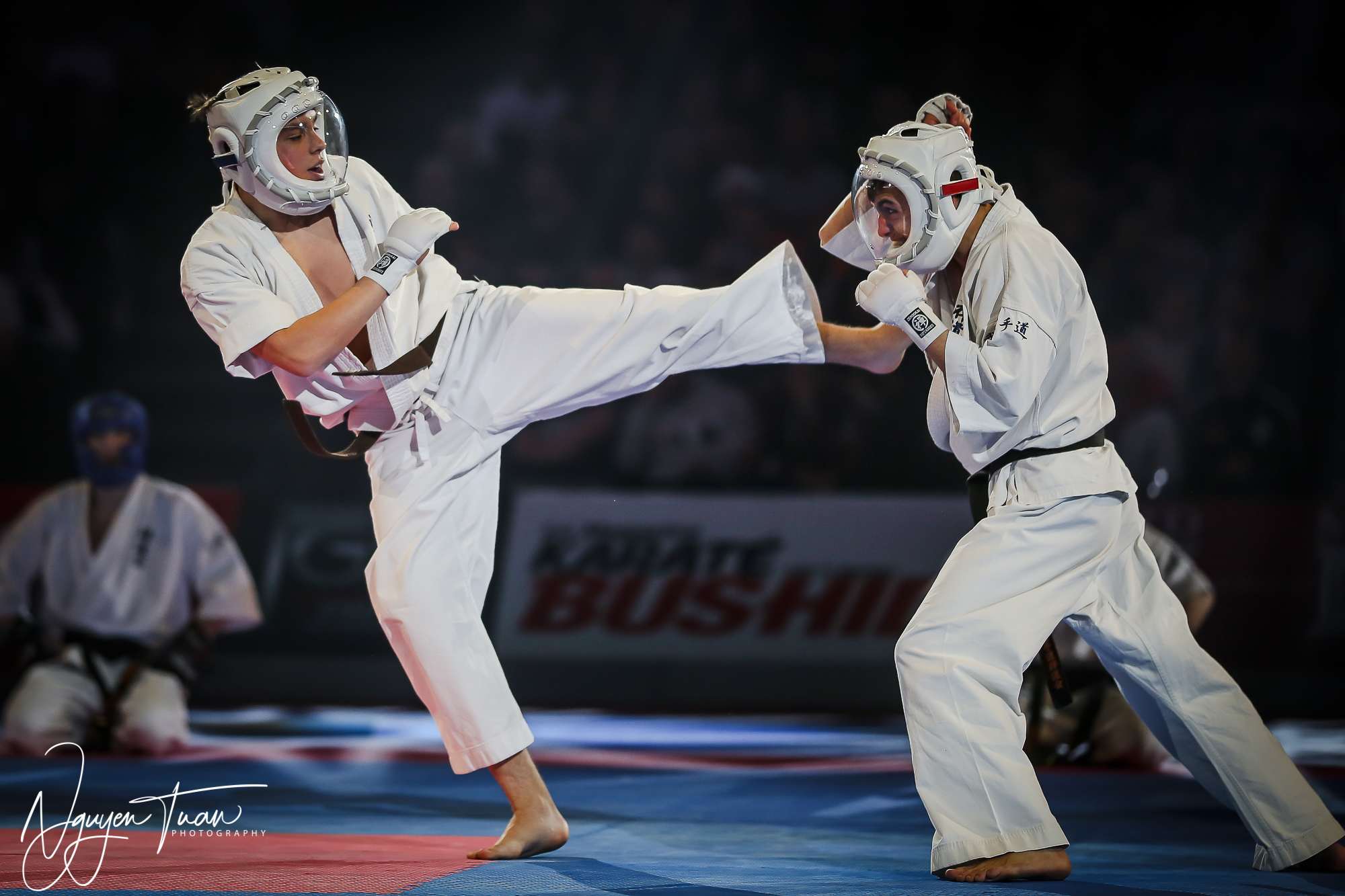 20190324 Festival des Arts Martiaux 3190